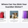 QR code safety ID for kids elderly and autism individuals for emergency contact